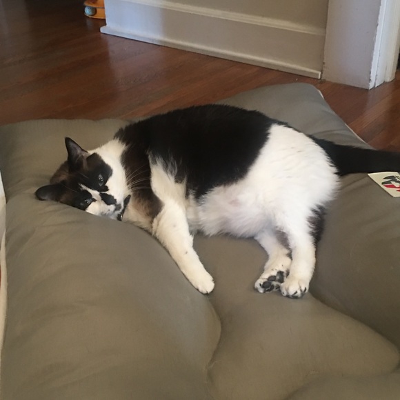 Sassy & sophisticated! I’m Tera Jo! Hi Babes XOXO - Picture 4 of 14